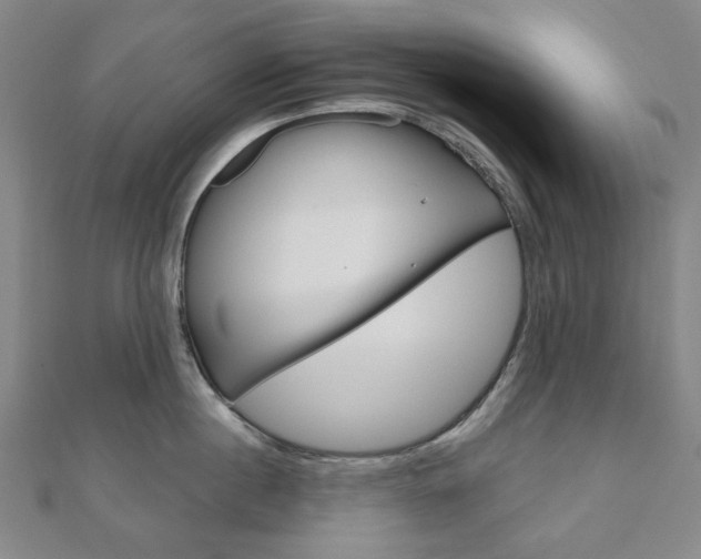 X0000110960860200906191048
