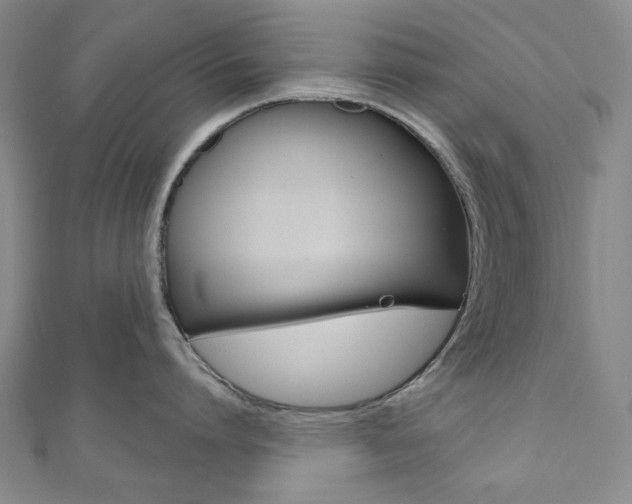 X0000110960864200906191048