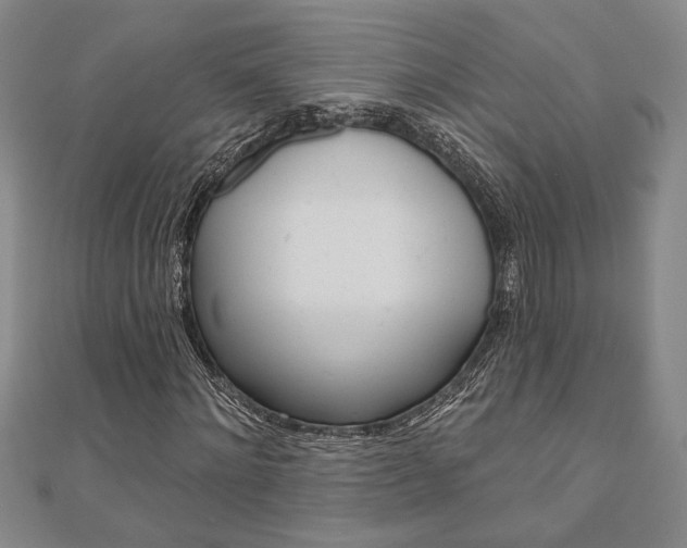 X0000110960868200906191047