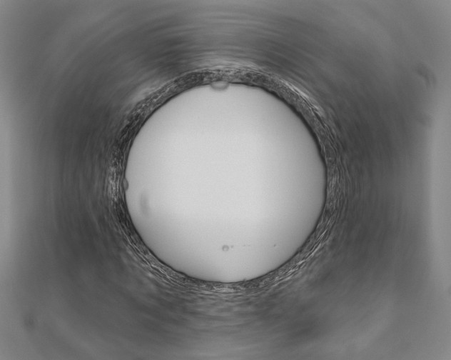 X0000110960869200906191047