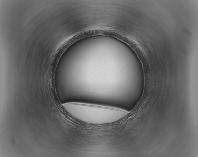 X0000110960872200906191047