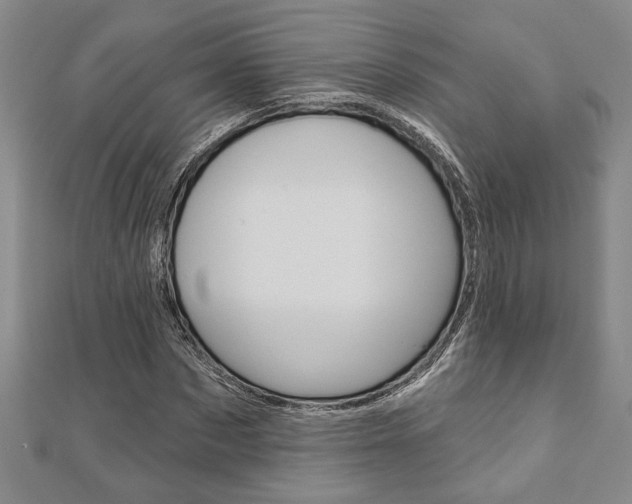 X0000110960873200906191047