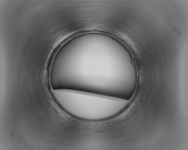 X0000110960876200906191047