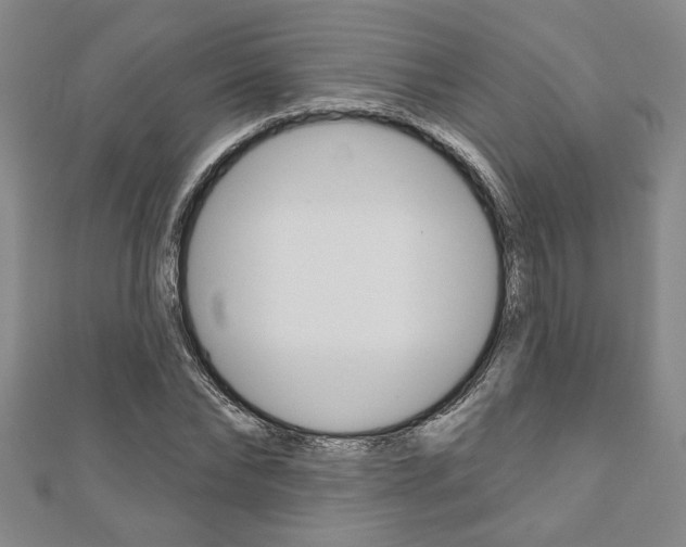 X0000110960878200906191047