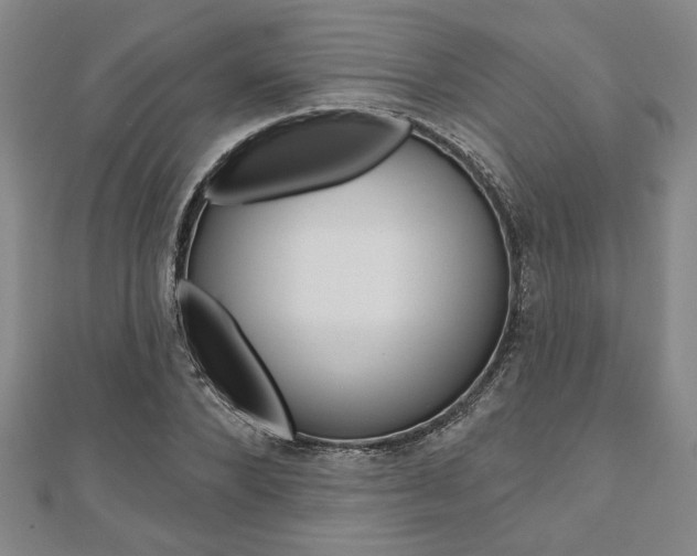 X0000110960880200906191047