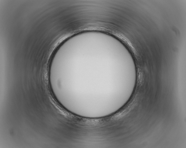X0000110960882200906191047