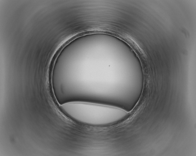 X0000110960884200906191047