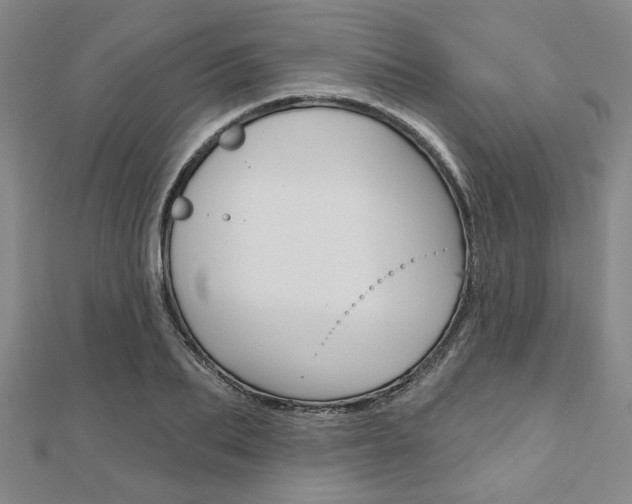 X0000110960887200906191047