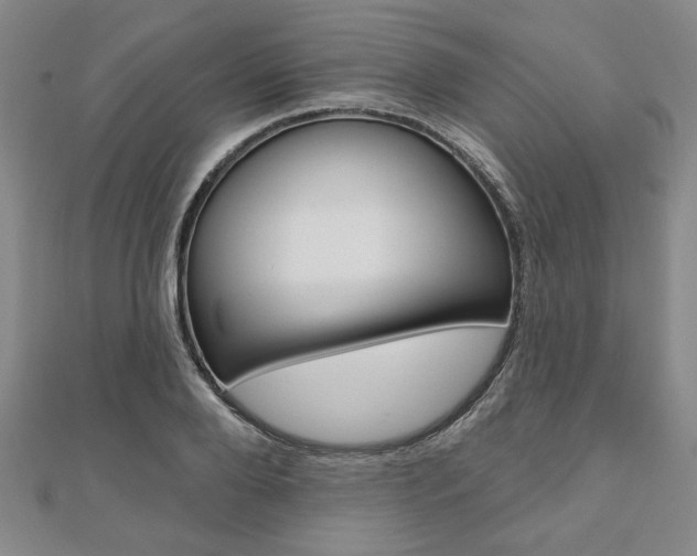 X0000110960888200906191047
