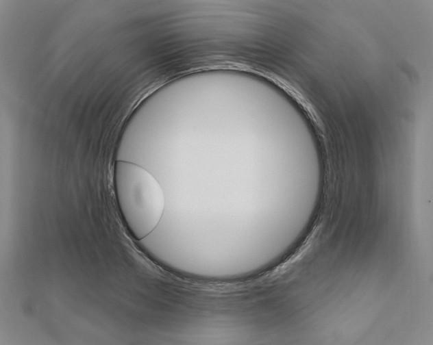 X0000110960889200906191047