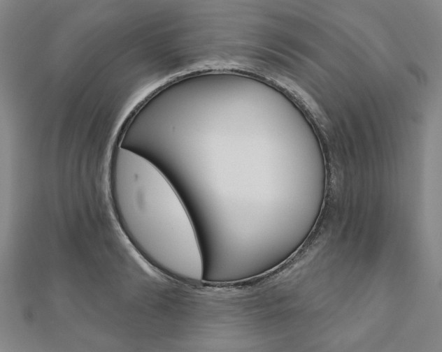 X0000110960894200906191047