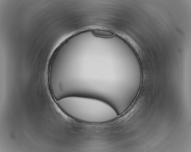 X0000110960902200906191047
