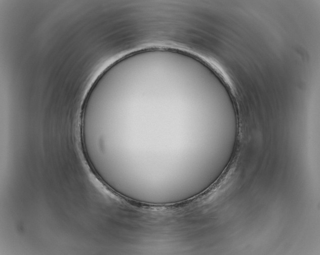 X0000110960903200906191047