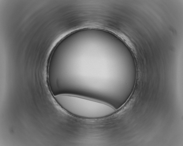 X0000110960904200906191047