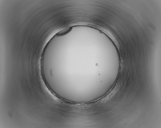 X0000110960906200906191047