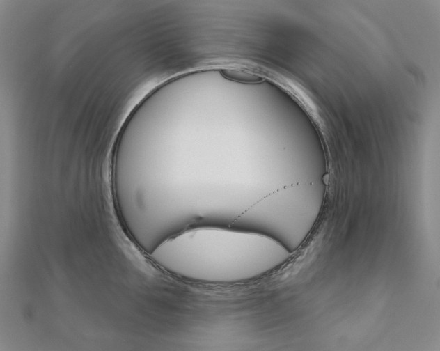 X0000110960907200906191047