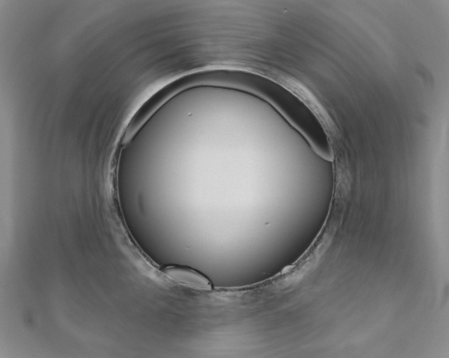 X0000110960908200906191047