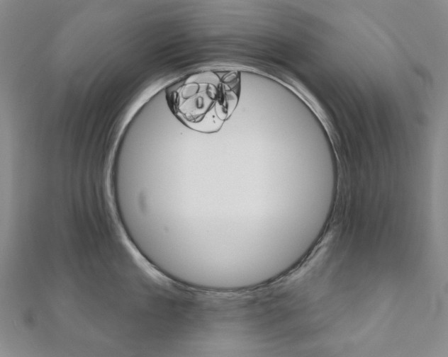 X0000110960909200906191047