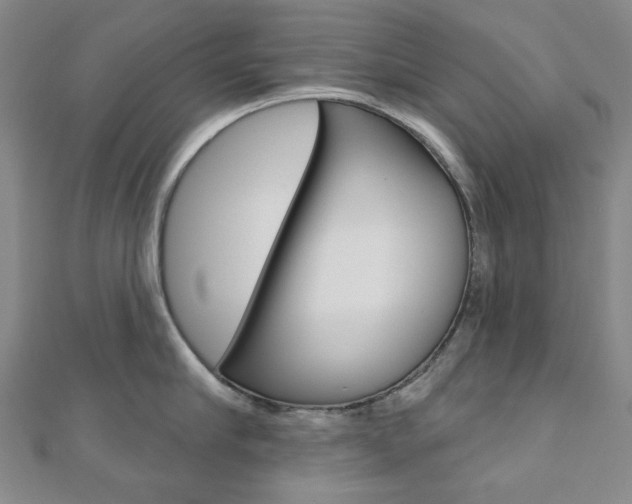 X0000110960910200906191047