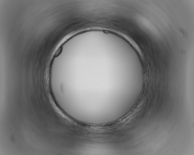 X0000110960911200906191047