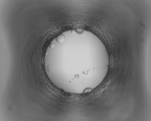 X0000110960913200906191046