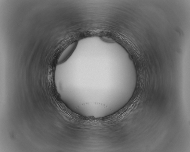 X0000110960914200906191046