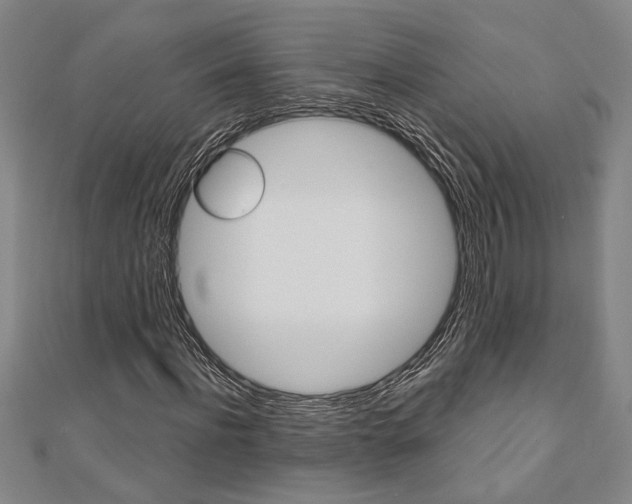 X0000110960916200906191046