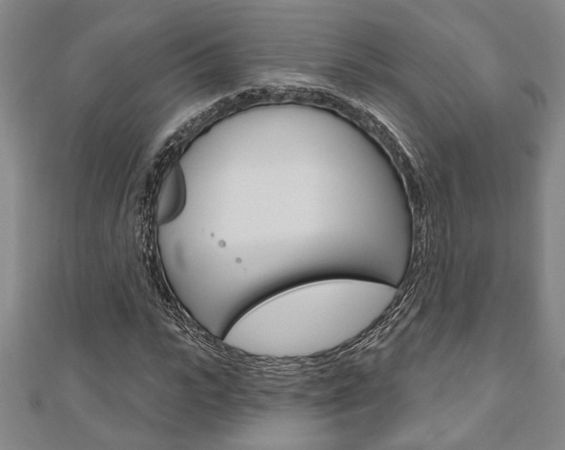 X0000110960919200906191046