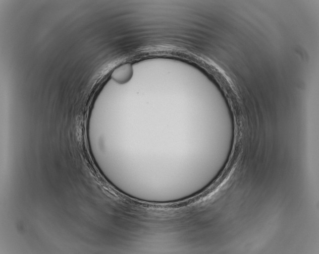 X0000110960921200906191046