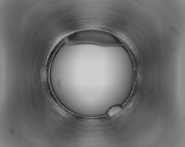 X0000110960924200906191046