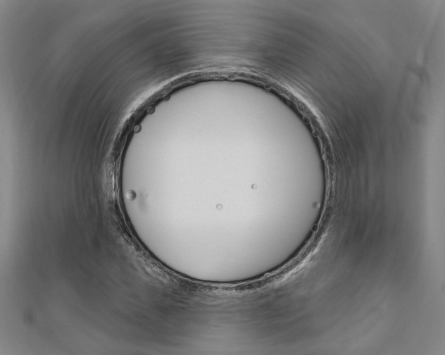 X0000110960925200906191046