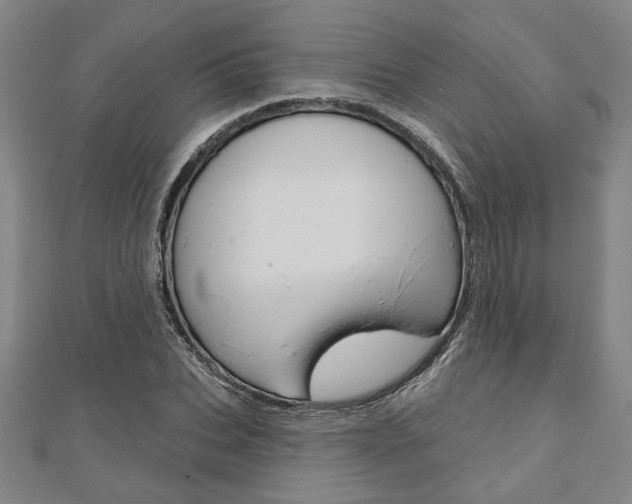 X0000110960927200906191046
