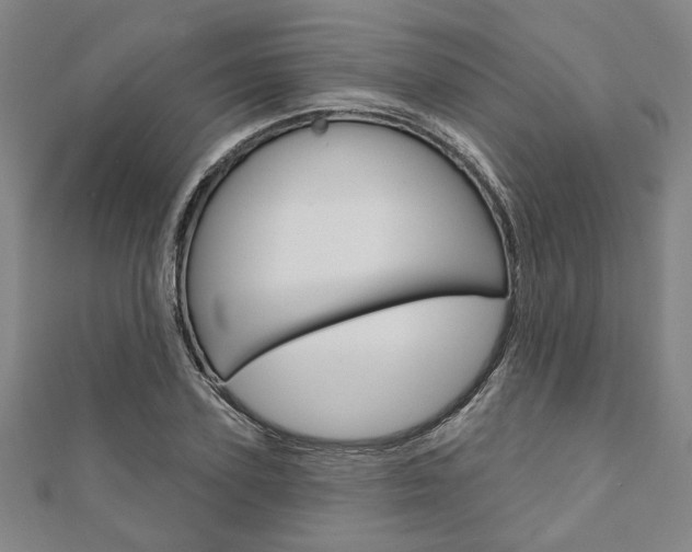 X0000110960931200906191046