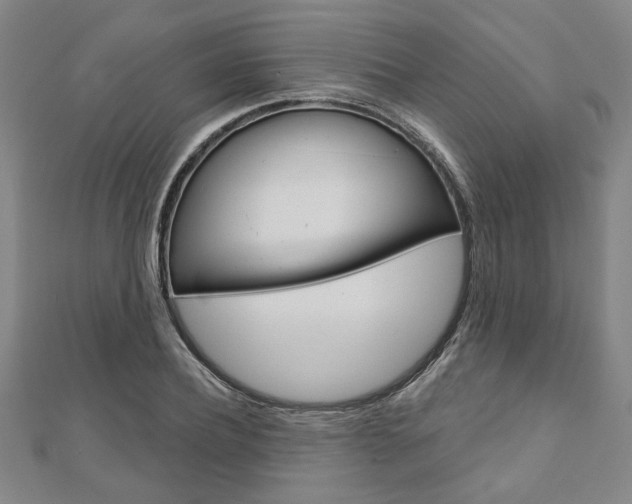 X0000110960932200906191046