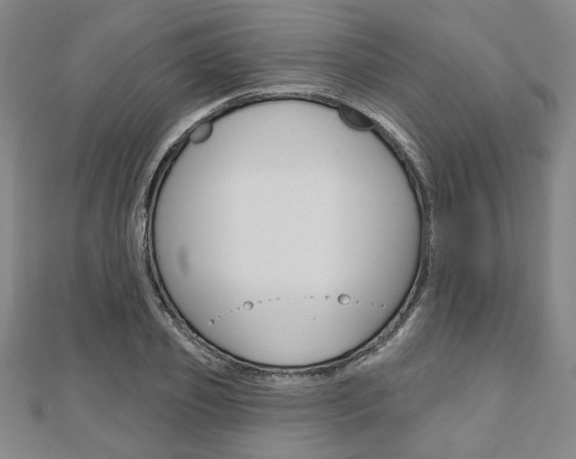 X0000110960933200906191046