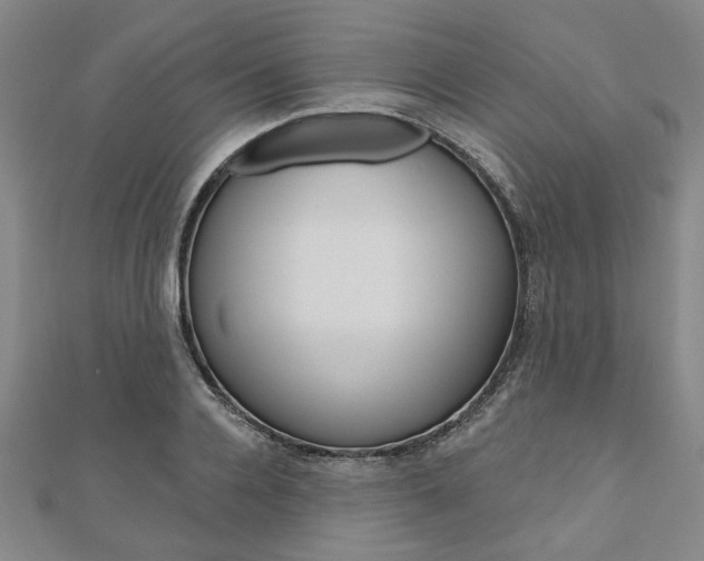 X0000110960936200906191046