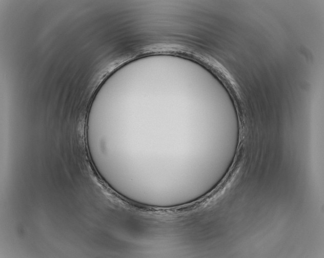 X0000110960937200906191046