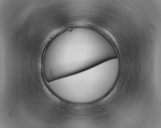 X0000110960938200906191046