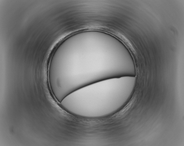 X0000110960939200906191046
