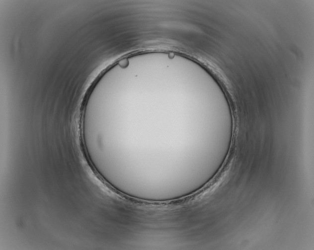 X0000110960941200906191047