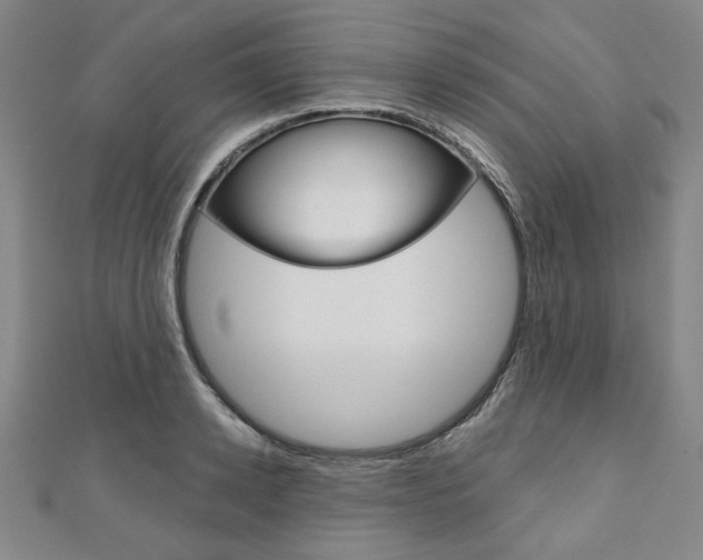 X0000110960942200906191047