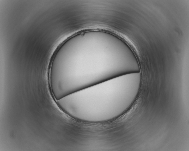 X0000110960943200906191047
