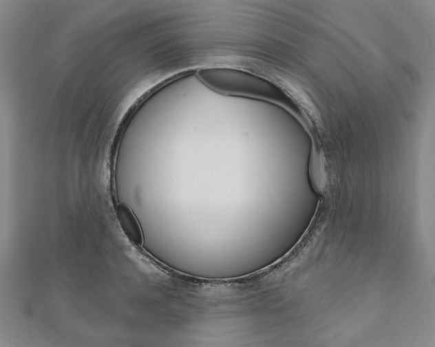 X0000110960944200906191047