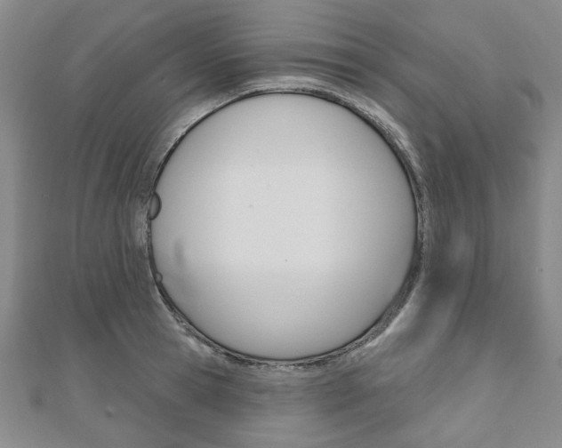 X0000110960945200906191047