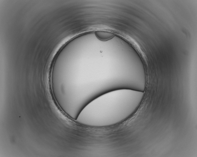 X0000110960947200906191047