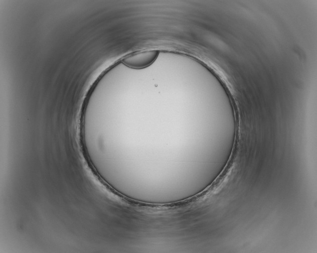 X0000110960949200906191047