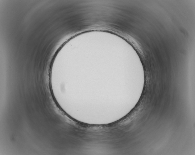 X0000110960950200906191047