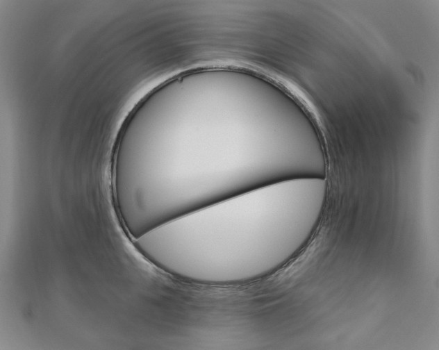X0000110960951200906191047