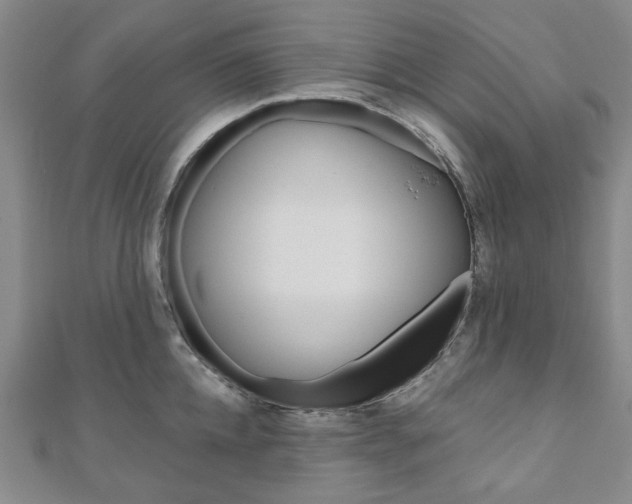 X0000110960952200906191047