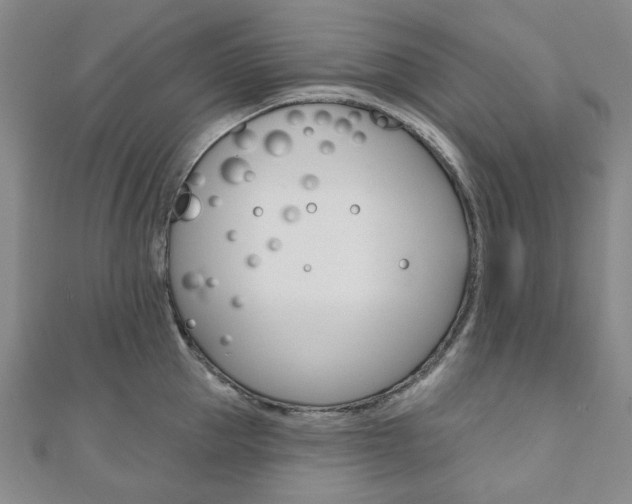 X0000110960953200906191047